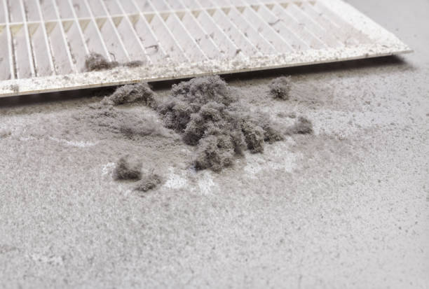 Best HVAC Duct Inspection Services  in Tylertown, MS