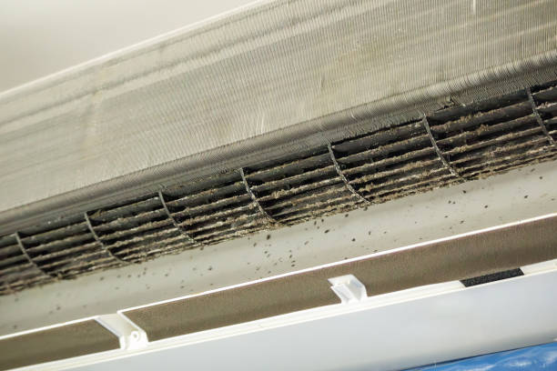 Best Dryer Vent Cleaning Services  in Tylertown, MS
